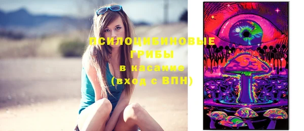 гашик Струнино