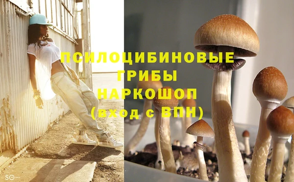 гашик Струнино