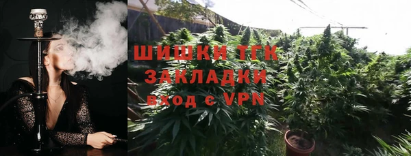 гашик Струнино