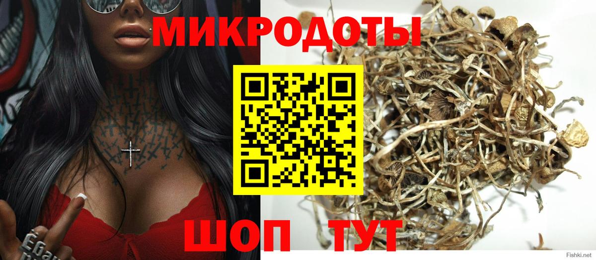Галлюциногенные грибы мицелий Чебаркуль